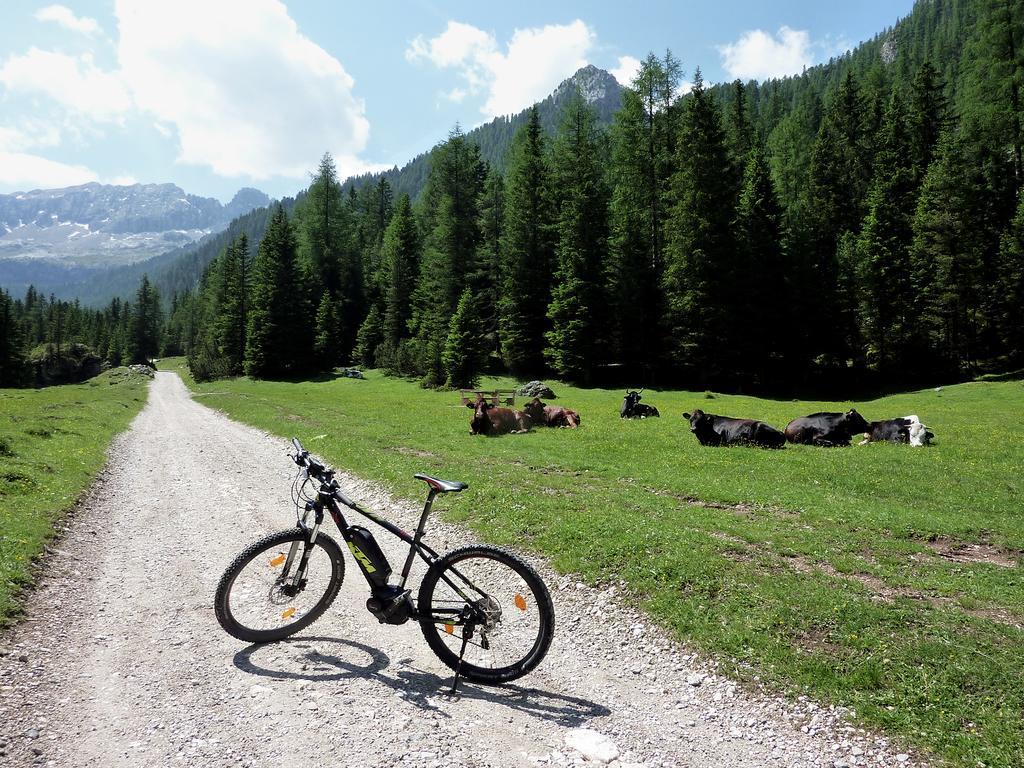 Appartamenti Majon Sotroi Campitello di Fassa Buitenkant foto